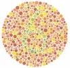 Color6.webp