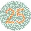 Color25.webp