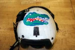 HelmetGator.webp