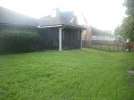 back.webp