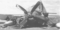 Sig-Spad.webp