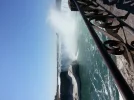 20140506_105028.webp