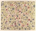 plate10.webp