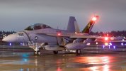 Growler at night.jpg