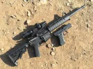 my guns.webp