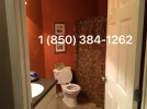 temp(8).webp