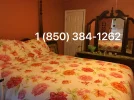 temp(11).webp
