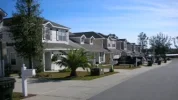 Neighborhood.webp