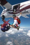 006.webp