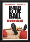 dodge.webp