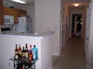 100_0539.webp