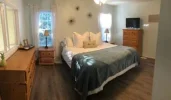 image2.webp