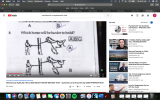 Screen Shot 2019-07-11 at 8.05.38 AM.png