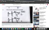 Screen Shot 2019-07-11 at 8.05.38 AM.webp