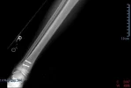 Pages from Medical Images_Page_2.webp
