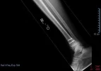 Pages from Medical Images_Page_3.webp