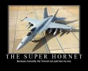 Hornet.jpg