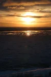 2730186910071631713xgnaGh_fs.webp