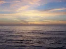 100_0416.webp
