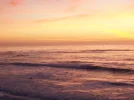 100_0424.webp