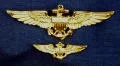pilot images.webp
