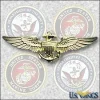 pilot usn-usmc_wings.webp