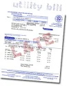 lateutilitybillsamplesm.webp