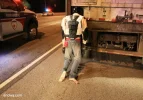 alwayswearyourhelmet3.webp