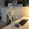 Waiting Skeleton.jpg