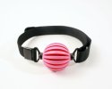 Ball%20Gag%20Pink%20Webbing.jpg