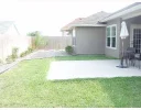 backyard.webp