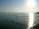 DSCN6453.webp