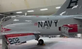 Navy202back.webp