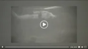 Screenshot 2026-03-25 at 09-09-36 Coast Guard partners rescue 7 people 1 dog during flash flo...webp