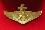 PLA Navy aviator wings.jpg