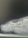 IMG_5026.jpeg