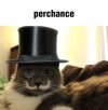 IMG_3785.jpeg