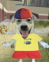 IMG_5649.jpeg
