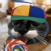IMG_5658.jpeg