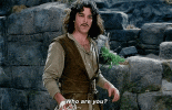 IMG_5257.gif