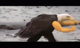1783175102138.gif