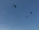 IMG_3130.jpeg