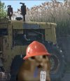IMG_8654.jpeg