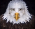 1783703427862.png