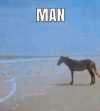 IMG_8678.png