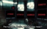 IMG_4271.jpeg