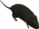 IMG_6121.png