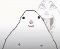 IMG_8702.gif