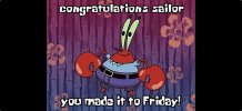 IMG_8687.jpeg