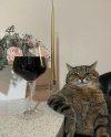 IMG_6629.jpeg